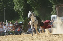 laqu0509b