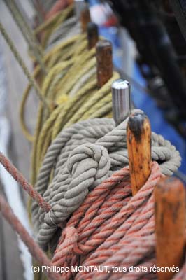 arm08_577b