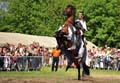 orl09_0688b