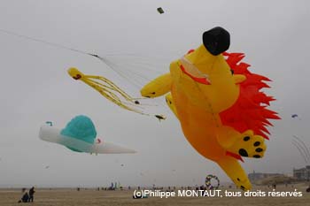 berck06_0205
