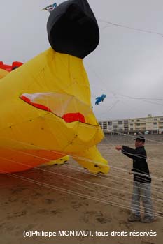 berck06_0208