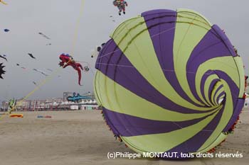 berck06_0460