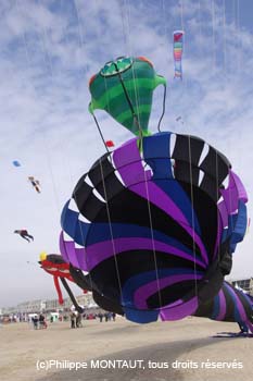 berck06_0561