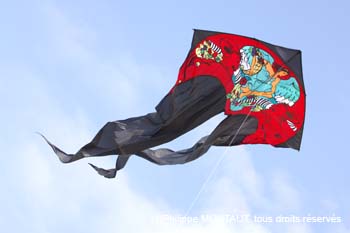 berck06_0697