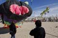 berck06_0049