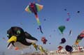 berck06_0676