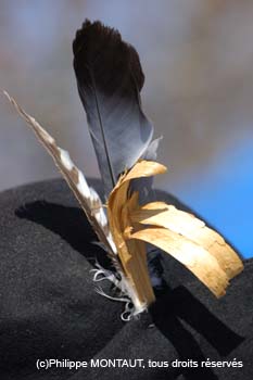 bgrav_0258