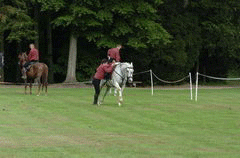 fredvol-invers_0482