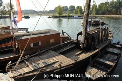 aloi09_0463b