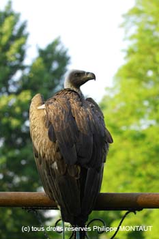 cper_0195b